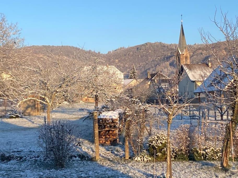 Gite Le Charmot, Au Pied Des Montagnes Classe 3* Roderen Exterior foto