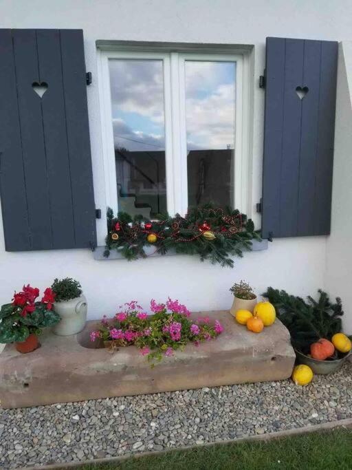 Gite Le Charmot, Au Pied Des Montagnes Classe 3* Roderen Exterior foto